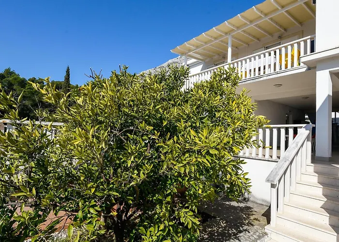 Suhor Apartament